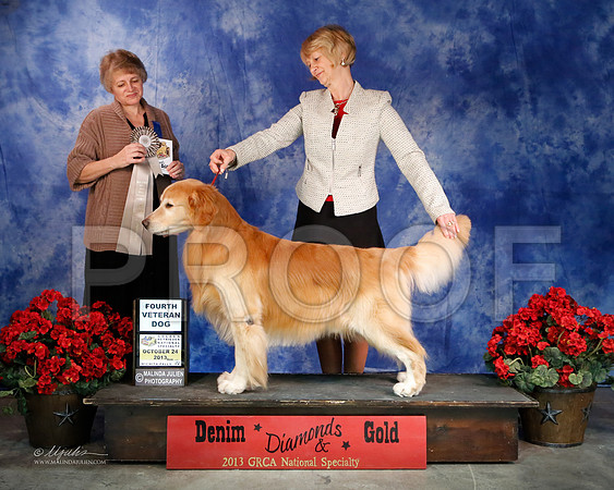Vet10-7734-WFOct2013-HR