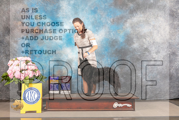 Mudi #7 THUR BOB BOH Judge Polly Smith_MJ_3958_Houston_2022_HR3