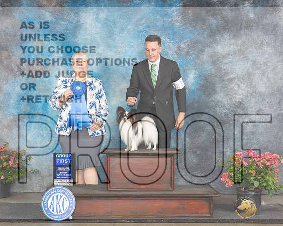 Papillion #23 Fri G1 Judge Azalea Alvarez_JP_4185e_San Antonio_2024-HR3