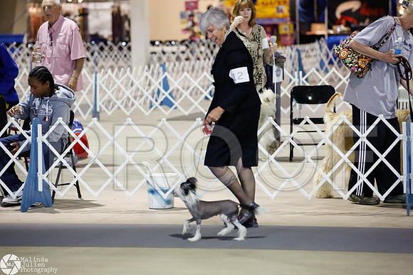 _JJ_3049-SanAntonioJul2014-HR