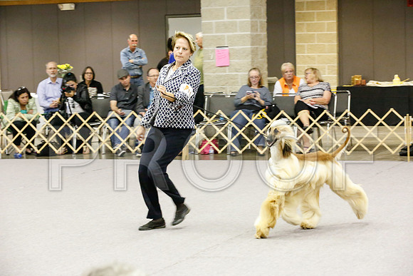 _JJ_0006-AfgBeltonOct2014-HR3