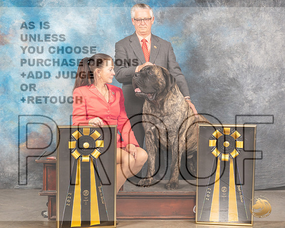 Mastiff #5 BISx2MMJ_5917_Mdlnd2022_HR3