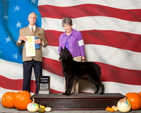 Belgian Sheepdogs #8 Sun G3 Spalding Marcy Carol Tacquard Judge Mr Allen L Odom