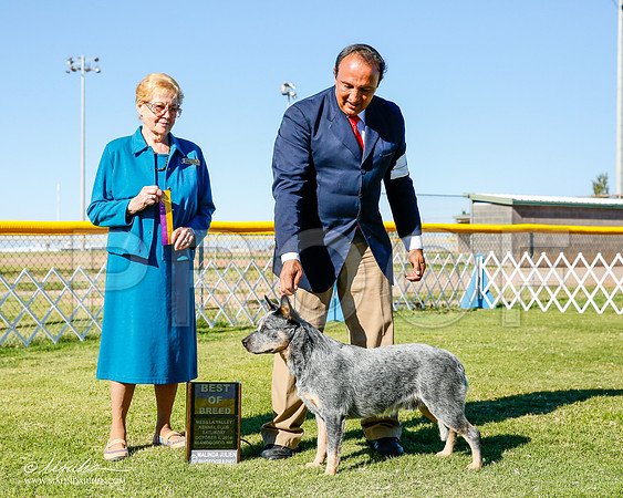 _CL_0294-2-AlamogordoOct2014-HR3