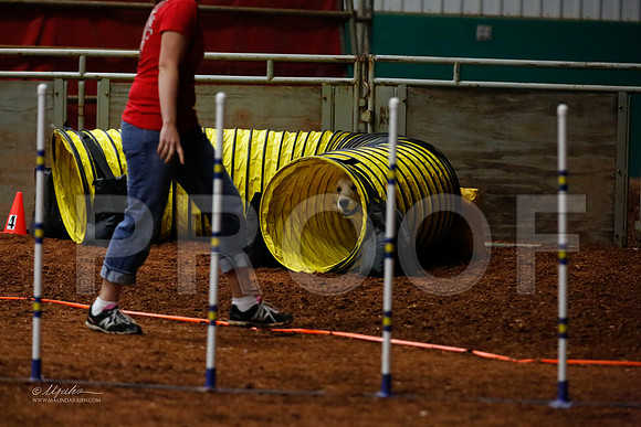 FExc20-8776-WFOct2013-HR