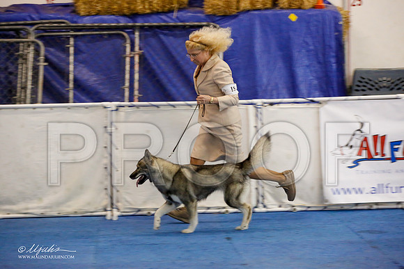 _M3_0829-AddisonHuskyMar2015-HR3