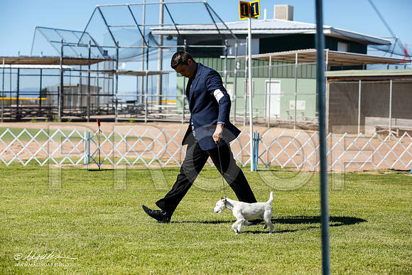 _JN_4412-AlamogordoOct2014-HR3