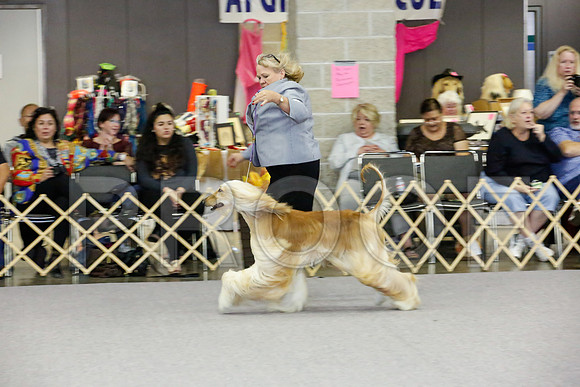 _JJ_2231-AfgBeltonOct2014-HR3