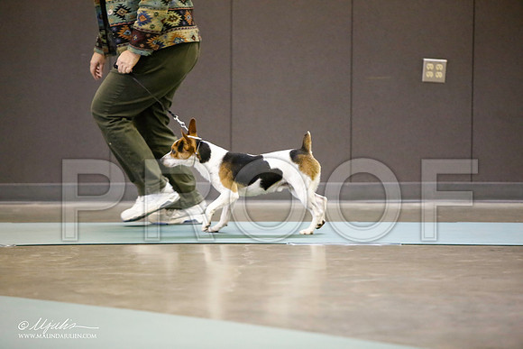 _LH_3569-BeltonJan2015-HR3