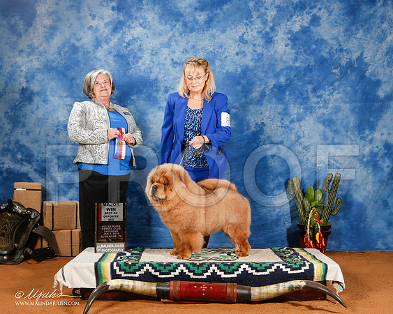 _ST_0969-2-GlenRoseJan2015-HR3