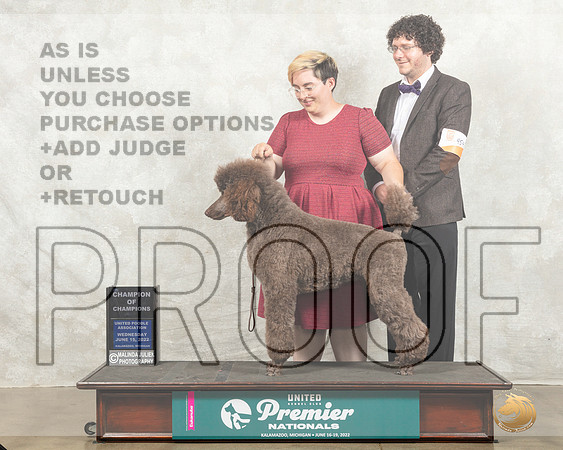Poodle #454 Wed COC Judge Sharon Griffin_MMJ_6947_Premier_2022_HR3