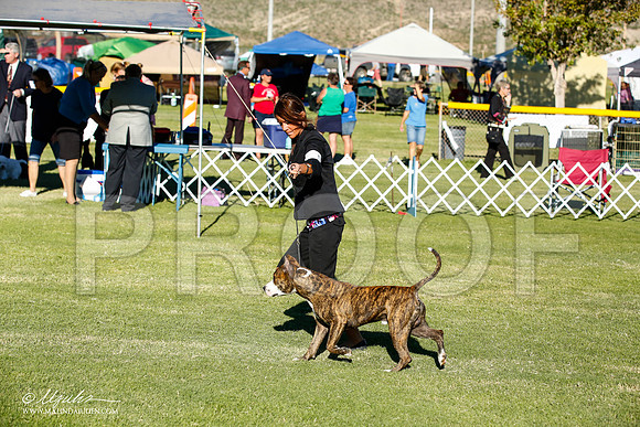 _JN_9946-AlamogordoOct2014-HR3