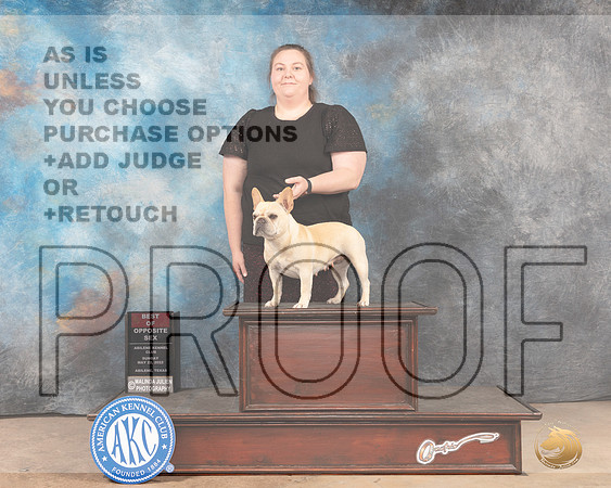 French Bulldog #6 Sun BOS Judge Pat Trotter-MMJ_5095-Abilene2022-HR3