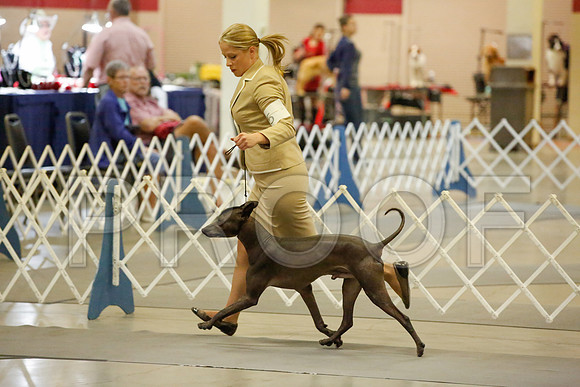 _JJ_8534-AmarilloSept2014-HR3