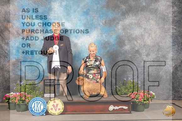 Norfolk Terrier #11 Thur BOB Judge Robert Shreve_MJ_0134_SA_2022_HR3