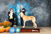 Saluki #7 Sun G3 Judge Donnelle Richards