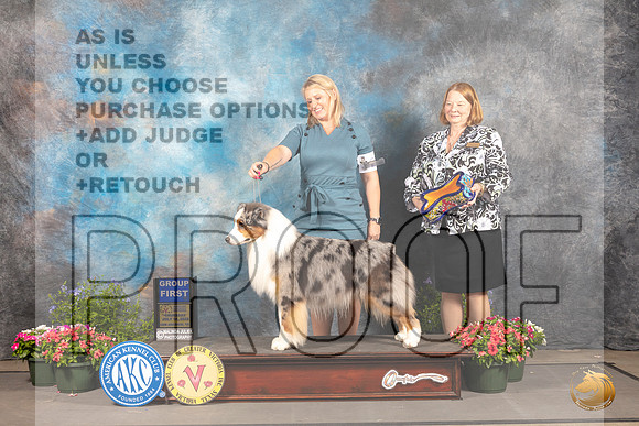Australian Shepherd #29 Thur G1 Judge David Bolus_MJ_0002_SA_2022_HR3