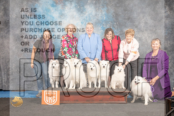 American Eskimo Group_MMJ_6736_Addison2022_HR3