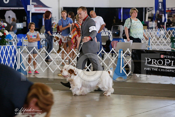 _JJ_1284-DallasJul2014-HR3