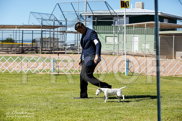 _JN_4413-AlamogordoOct2014-HR3
