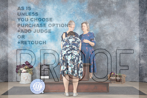 French Bulldog #14 Sun PUPBOS Judge Del Richards__JP_7684_Belton_2024_HR3