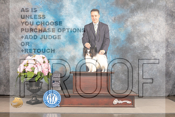 Papillon #25 San Antonio SD Judge Darryl Vice_MJ_7163_Houston_2022_HR3