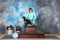 English Cocker Spaniel #6 BOWBOSNCH Judge Joan Liebes