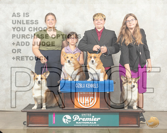 Pembroke Welsh Corgi Sun Family__MJ_9556_Premier_2022_HR3