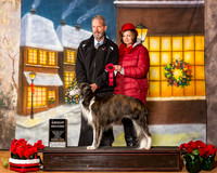 Silken Wind Hound Sat S1 G2 BoB Luann Sanders