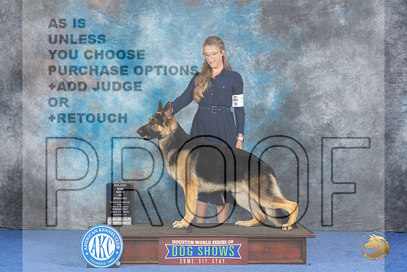 German Shepherd Dog #7 WED BOWM Judge Danelle Brown__JP_7573_Houston_2024_HR3