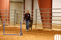 Fast Nov 24 Fri Belton Agility Nov 2013