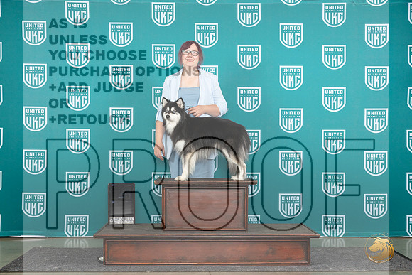 Alaskan Klee Kai #1284 see card__JP_1142_Premier_2024_HR3