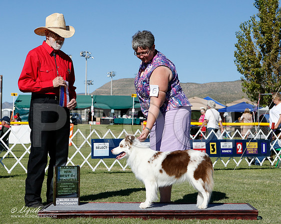 _ST_3263-2-AlamogordoOct2014-HR3