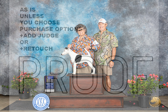 Smooth Fox Terrier #6 Sun WBBOWBOB Judge Elizabeth ‘Beth’ Sweigart__JP_5880_San Antonio_2024_HR3