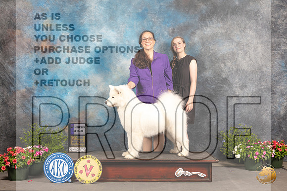 Samoyed #18 Sat WB Judge Darryl Vice_MJ_0116_SA_2022_HR3