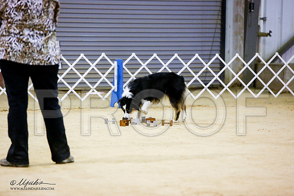 _JN_7172-ASCACollegeStationNov2014-HR3