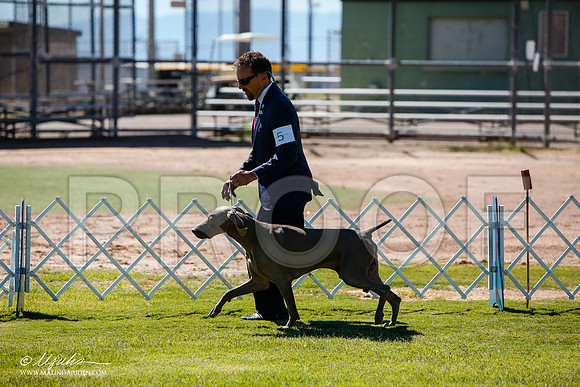 _JJ_5252-AlamogordoOct2014-HR3