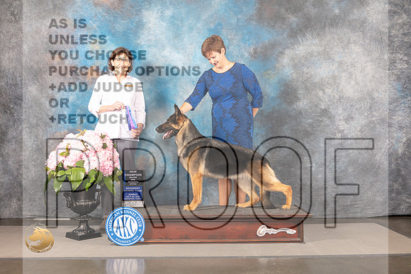 German Shepherd Dog #30 SUN WB NCH Judge Carrie Chase_MJ_7452_Houston_2022_HR3