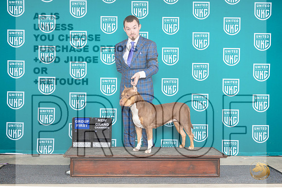 American Bully See NOTES__JP_6327_BatesvilleMS_2024_HR3