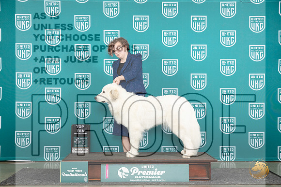 Great Pyrenees #589 Thur T10BOB Judge Diane Price__JP_1191_Premier_2024_HR3
