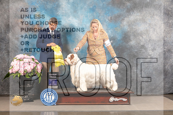 Clumber Spaniel #? FRI G3 Judge Richard Powell_MJ_6024_Houston_2022_HR3