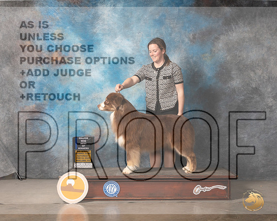 Australian Shepherd #19 Sat WDBOW Judge Judy BrownMMJ_4681_Mdlnd2022_HR3