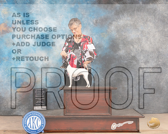 Toy Fox Terrier #14 Sat OHG2 Judge Gloria Kerr-MMJ_4205-Abilene2022-HR3