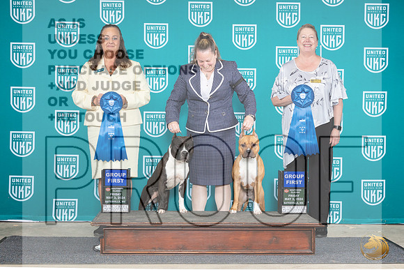 American Pit Bull Terrier #124 Fri G1 Valerie #134 Fri G1 Pam__JP_6335e_Batesville_2024_HR3