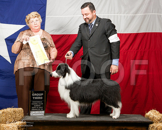 _ST_2143-AmarilloSep2014-HR3