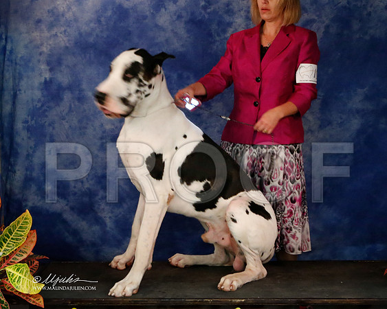 Dane-9023-NormNov2013-HR