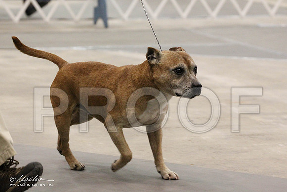 IMG_8033-Abilene2011-HR3