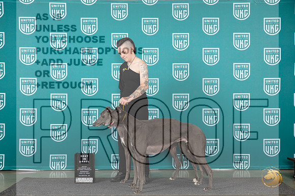 Greyhounnds #104 #105 Judge Jennifer Landers__JP_0307_Premier_2024_HR3