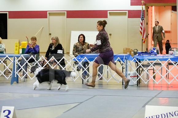 _JJ_5244-AmarilloSept2014-HR3