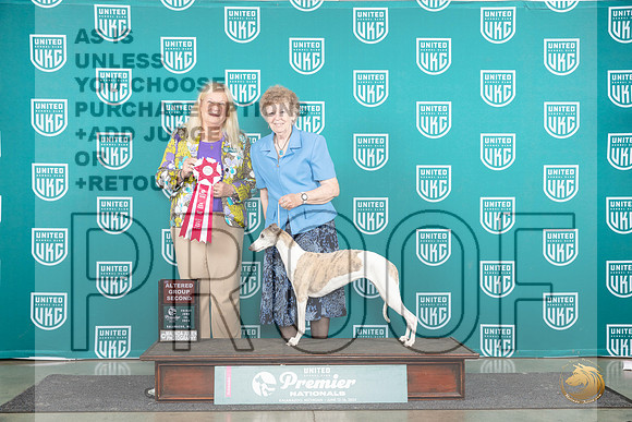 Whippet #686 AG2 Judge Kathie Short__JP_1671_Premier_2024_HR3